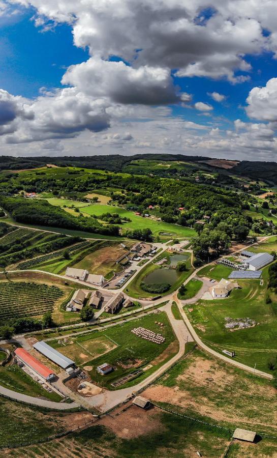 Bodri Pincészet Hotel Szekszárd Kültér fotó